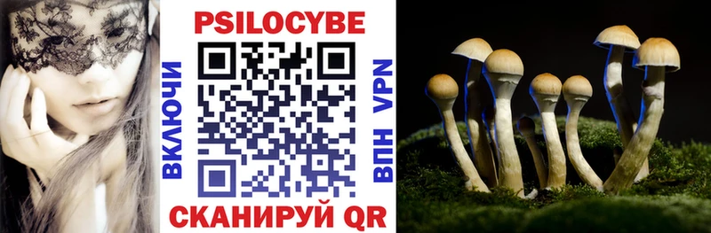 Псилоцибиновые грибы Psilocybine cubensis  кракен   Козельск  купить закладку 
